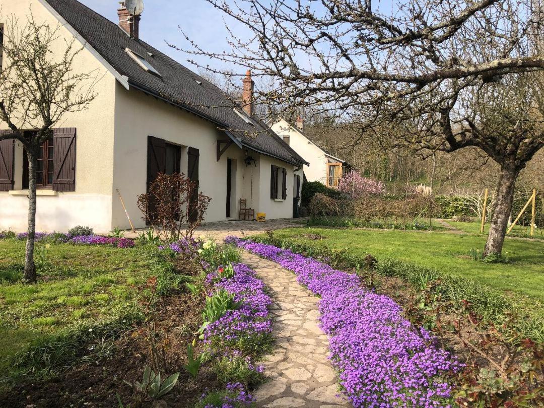 Le Clos Fleuri - Chambres D'Hotes Onzain Eksteriør billede